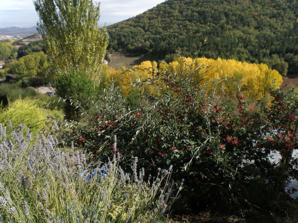 Casa Rural Mirador de Moncalvillo view 3