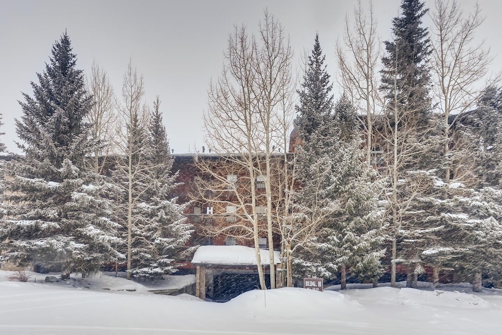 Mountainside 272h 2 Bedroom Condo by RedAwning