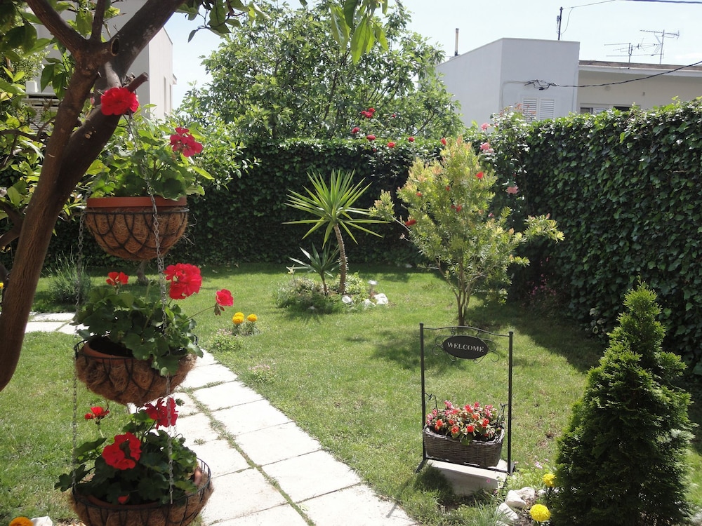 Photo 6