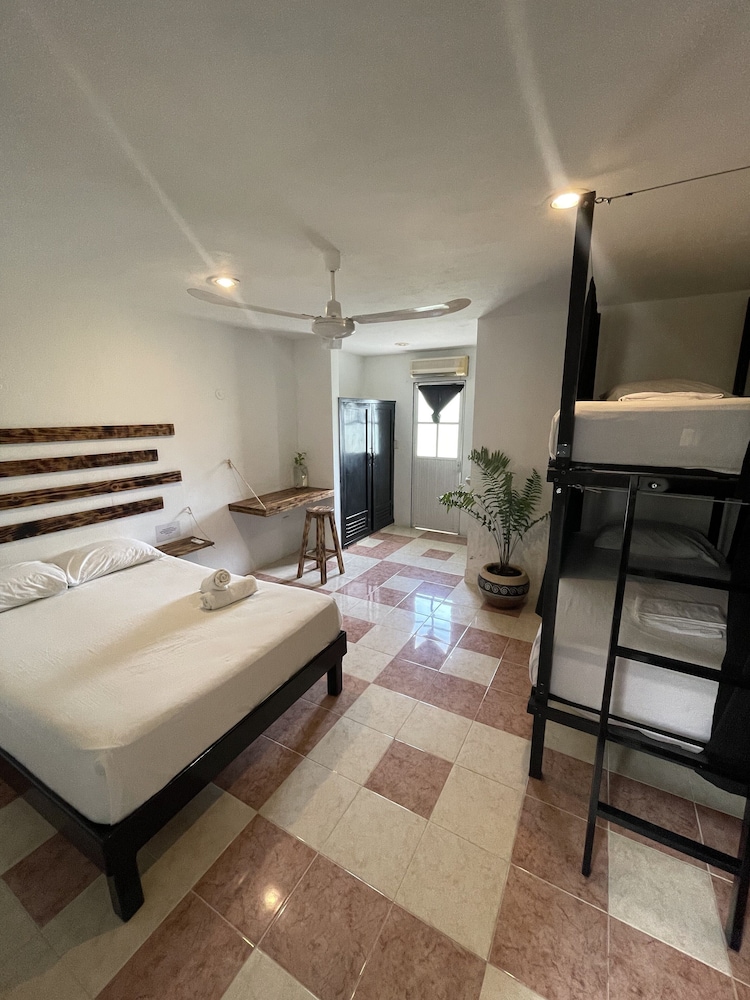 Oryx Valladolid - Hostel view 3