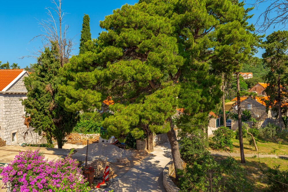 Villa Pomalo