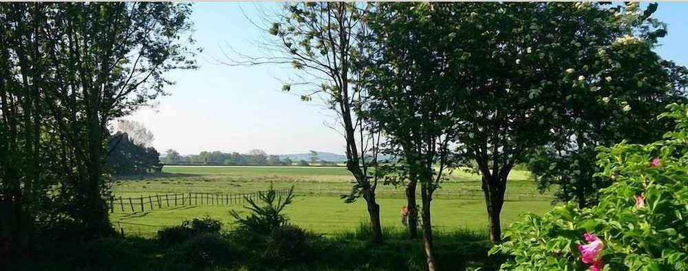 Elmfield House B&B