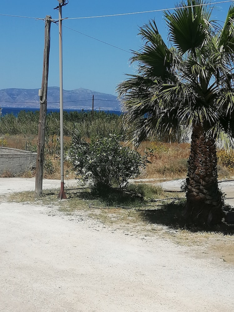 Sahara Beach Apartments