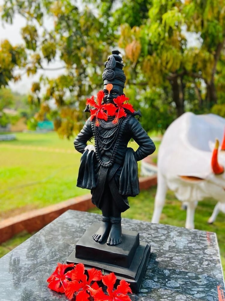 Ashoka Lawns and Resort view 3