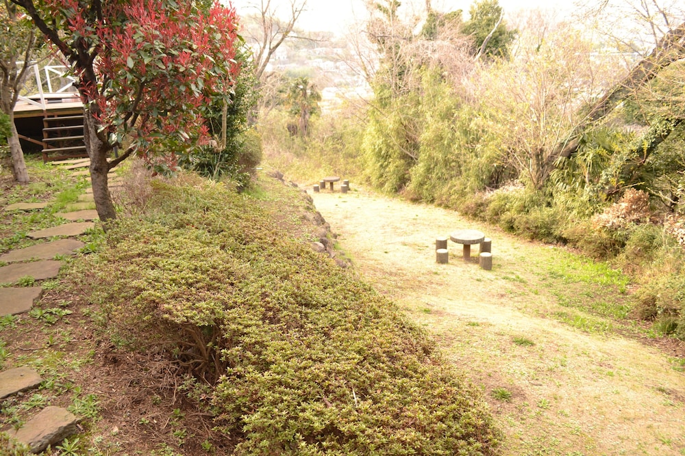 Photo 7