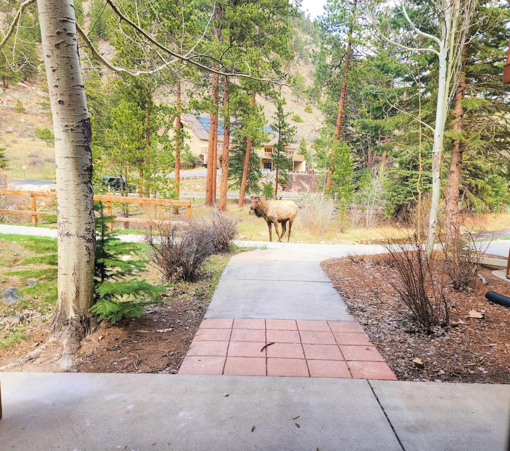 Estes Park Condos - Property Image 285