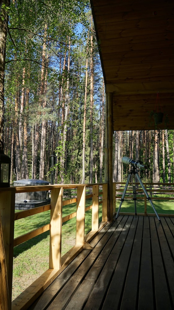 Metai Miške&a Year in the Forest