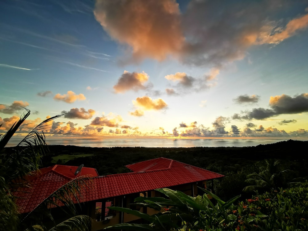 Vista Ballena