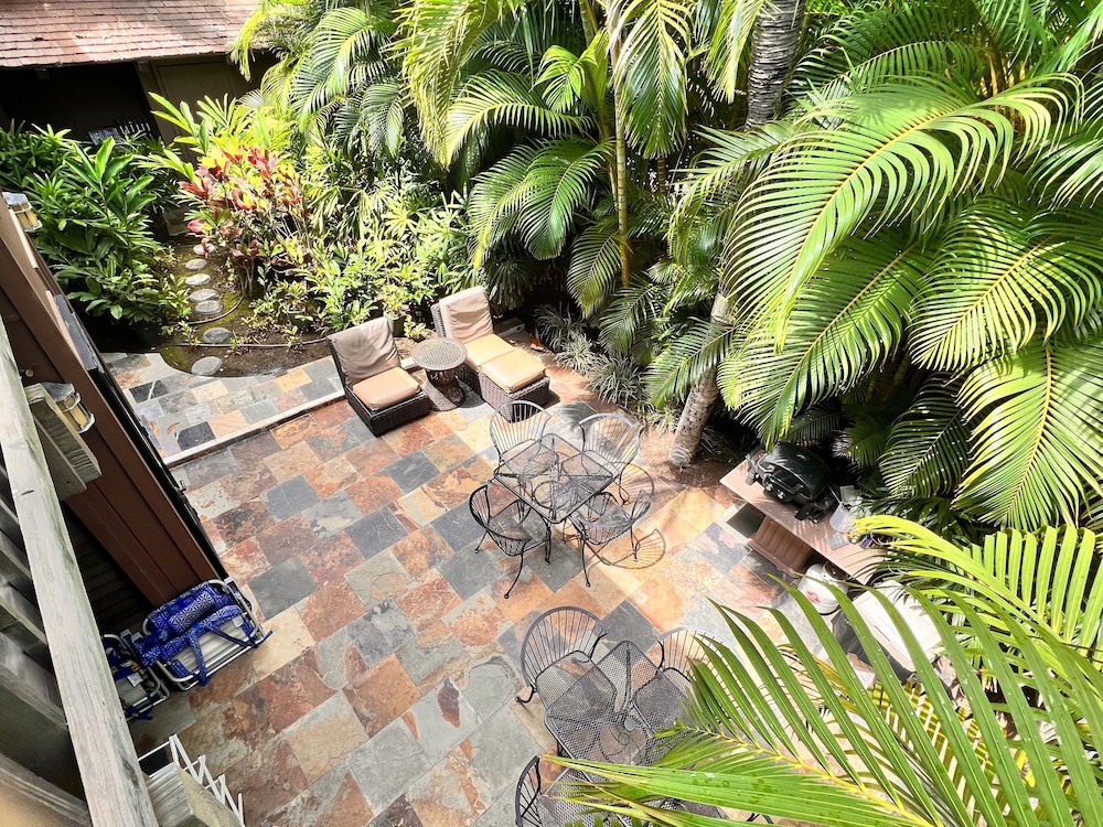 Papaya Suite view 3