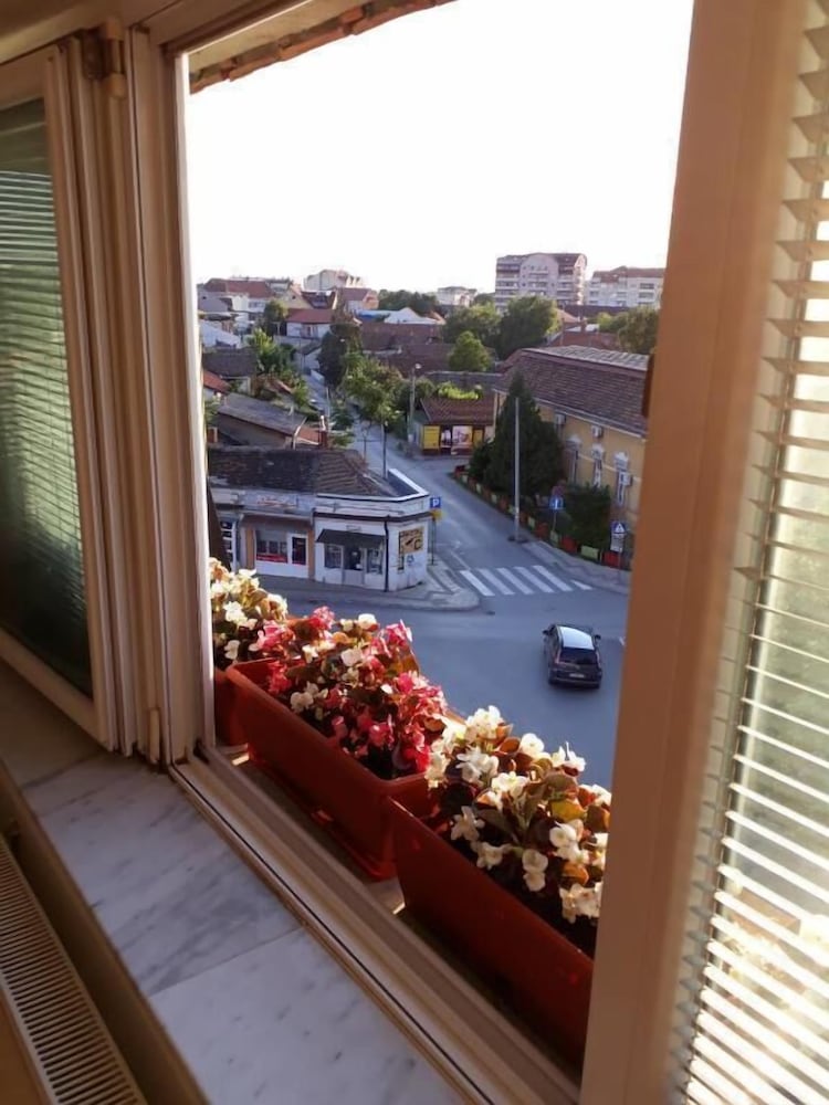 Photo 31