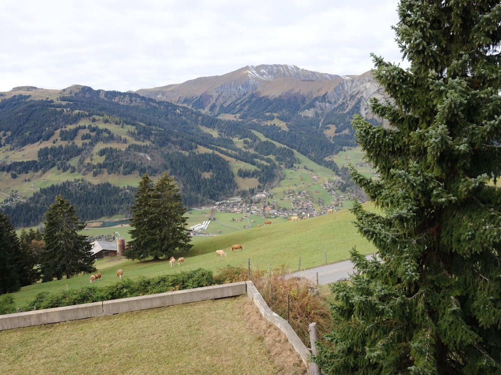 Photo 25