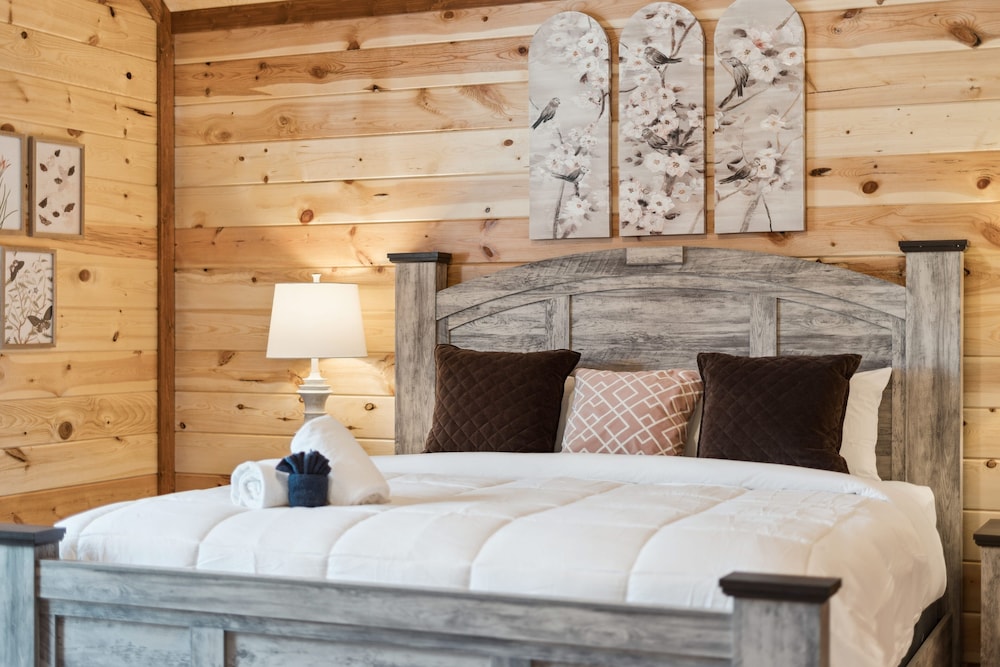 Splash Mountain Lodge 8 Bedroom Cabin