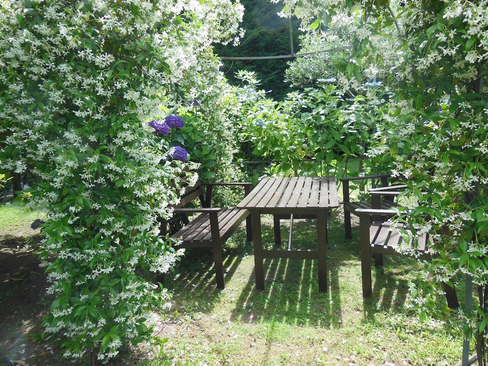 Villa Banana