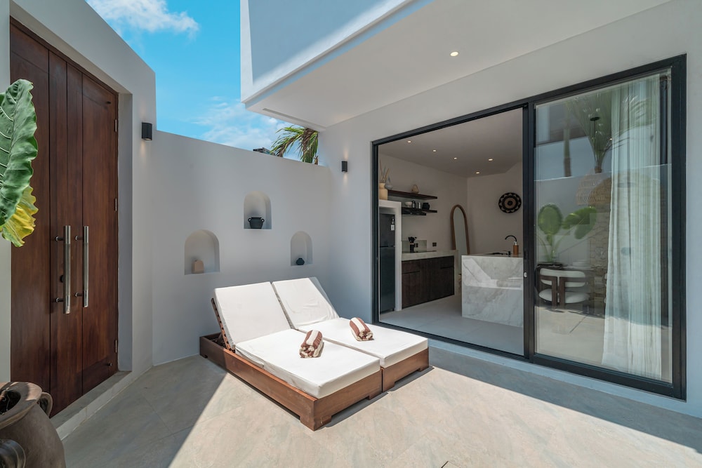 Nova Oasis 1