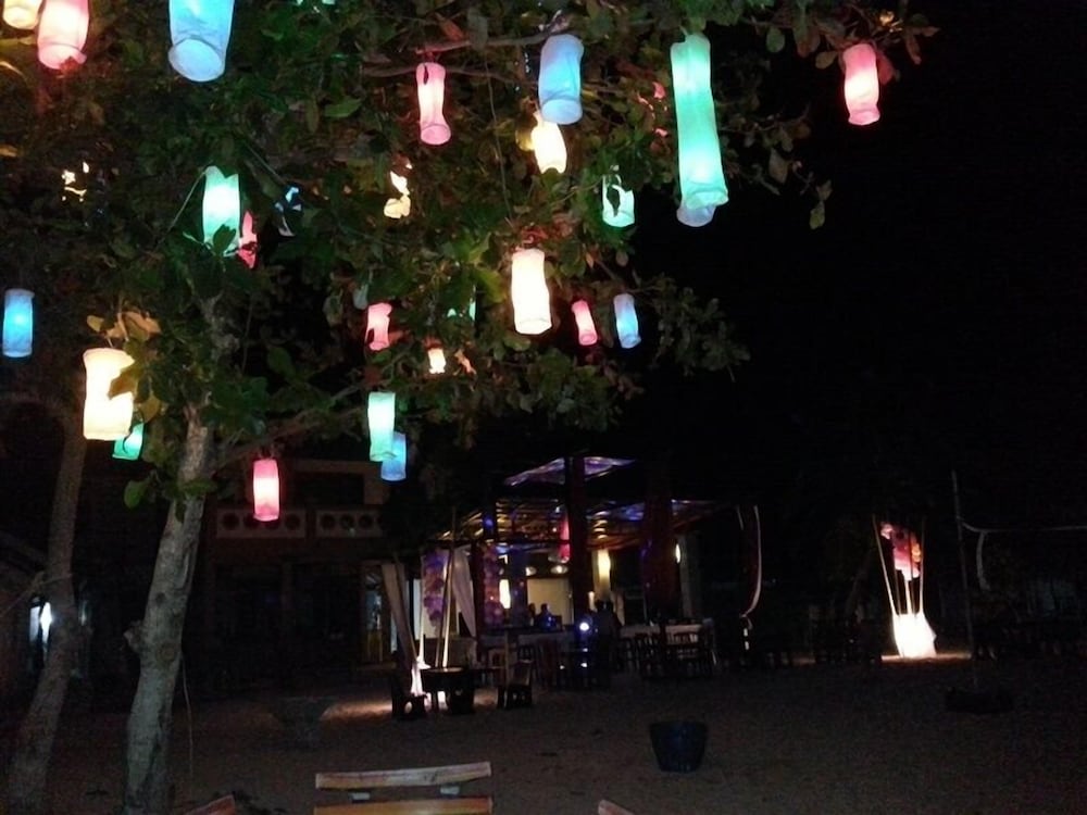Dancing Elephant Beach Club - Hostel