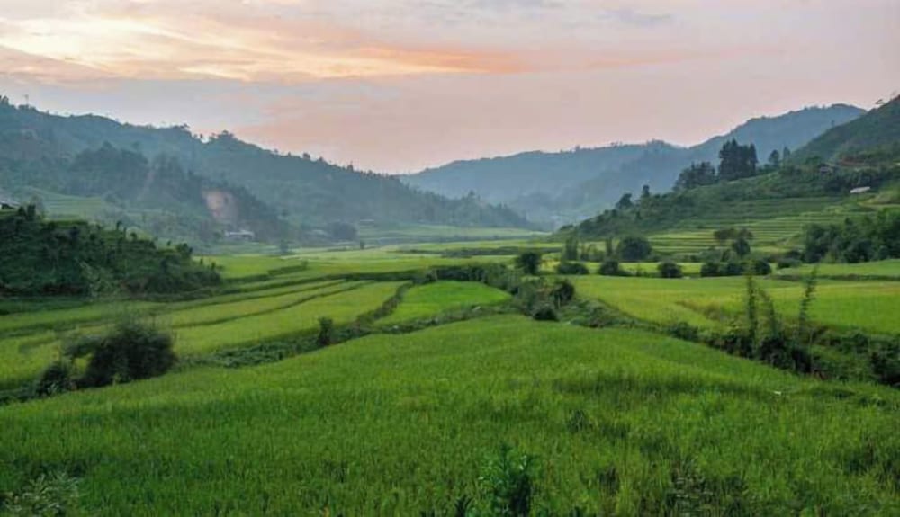 Ban Lien Homestay