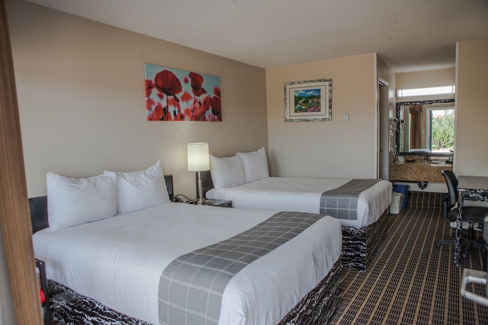 Canadian Motel North Battleford