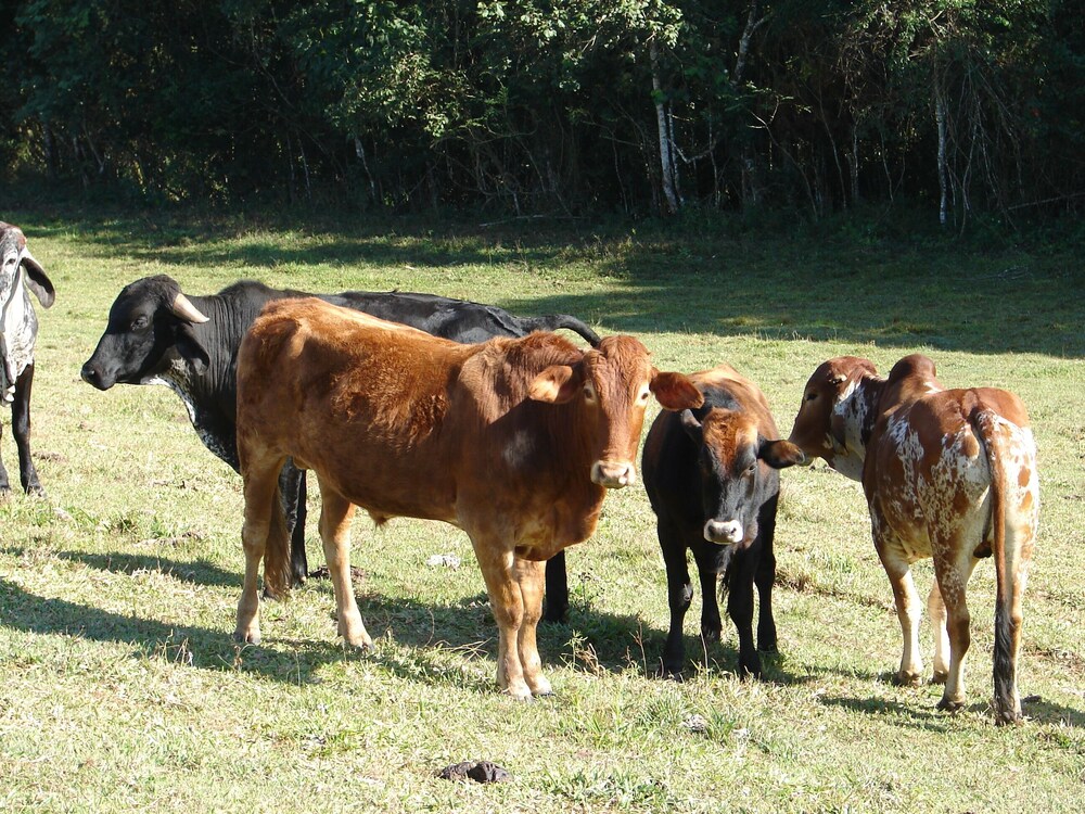 Hotel Fazenda Vale Formoso