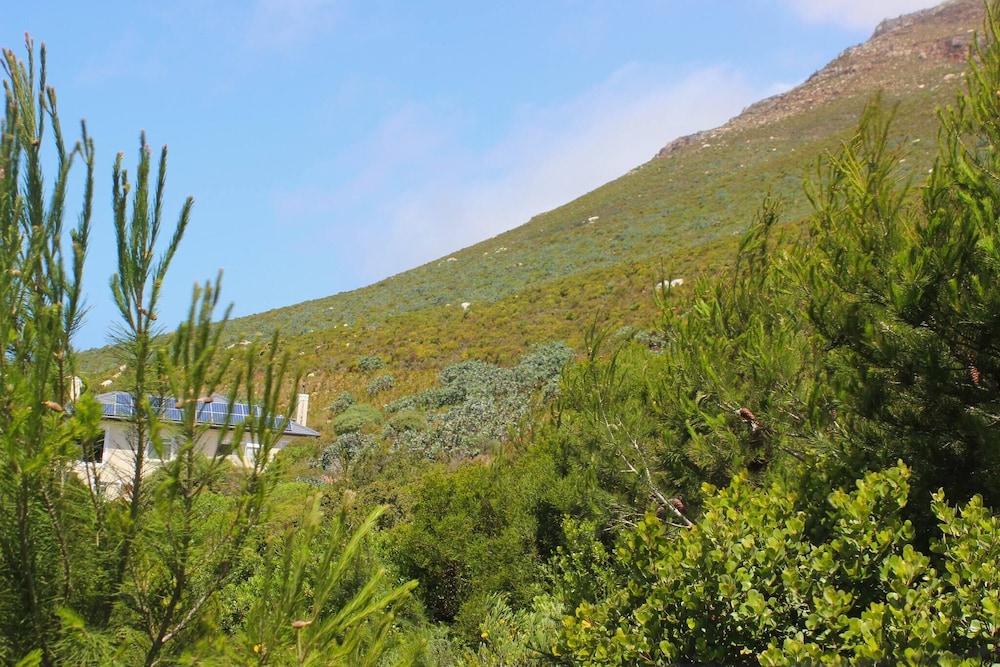 Seascape, Simon's Town
