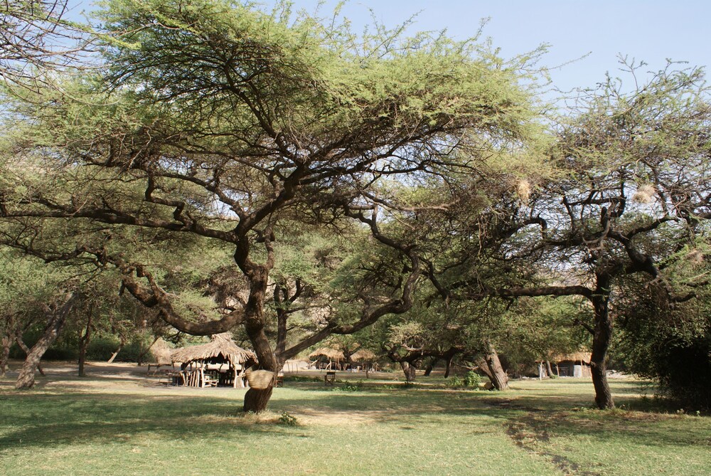 Lake Natron Tented Camp