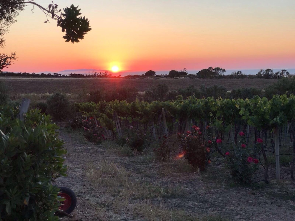 Agriturismo Monte Istulargiu