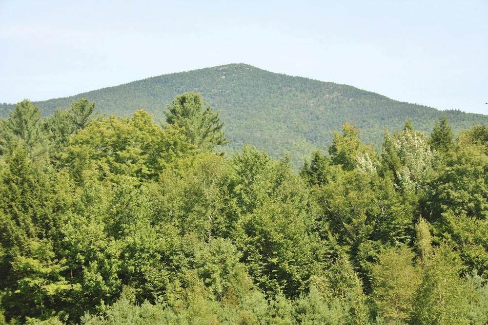 Mountain View Resort