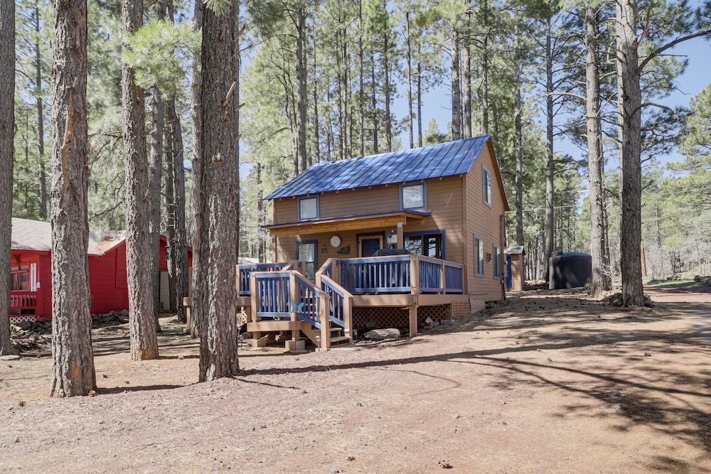 Nearby Hiking: Pet-friendly Cabin in Mormon Lake view 4