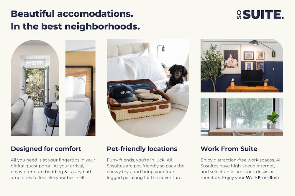 Sosuite 1BR Apt w Patio W D Sofabed