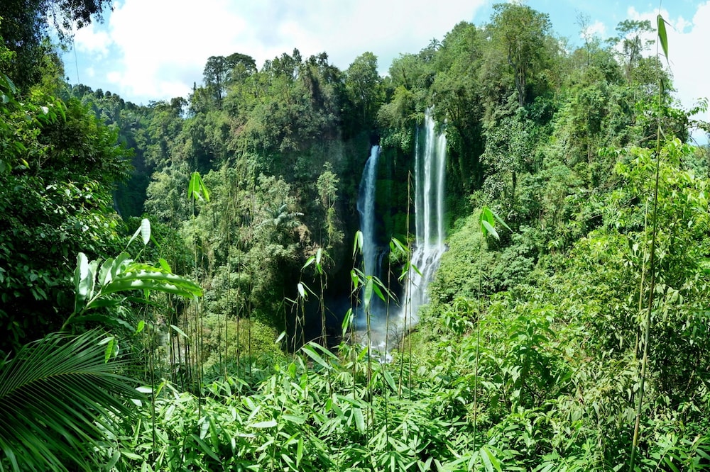 Omunity Bali