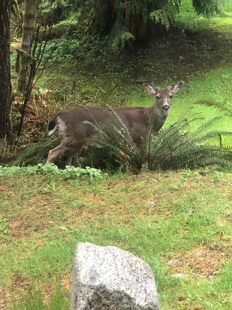 Davis Brook Retreat