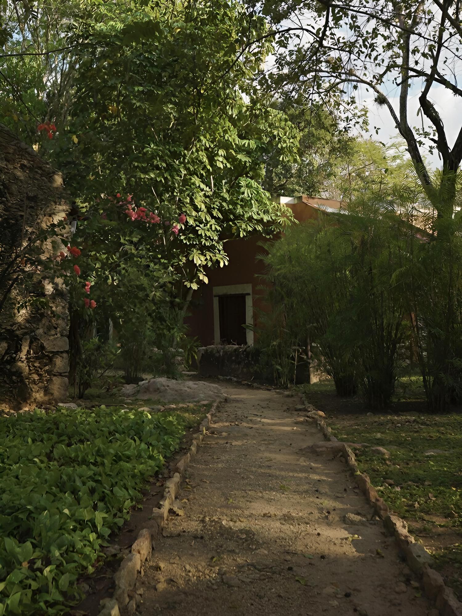 Photo 7