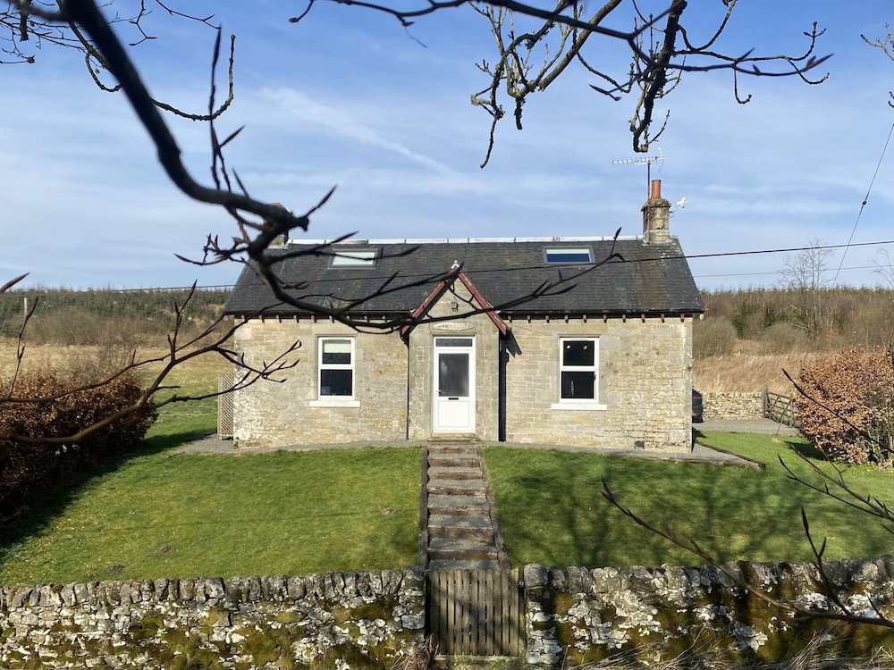 Netherraw