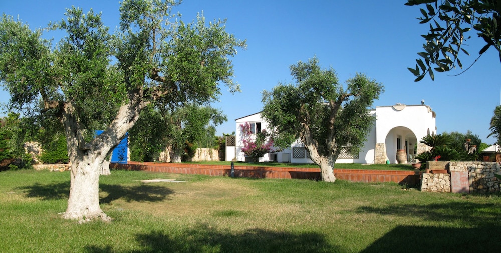 Photo 18