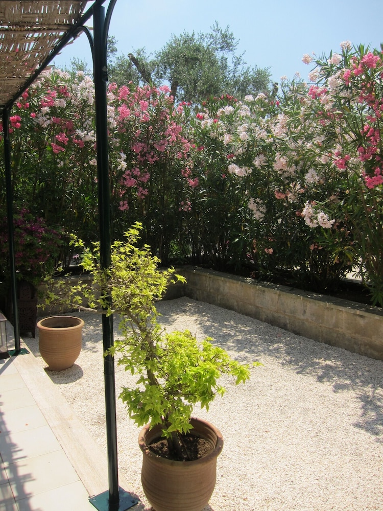 Tenuta Belvedere