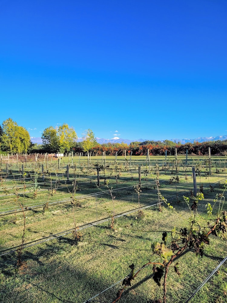 Finca La Saucina