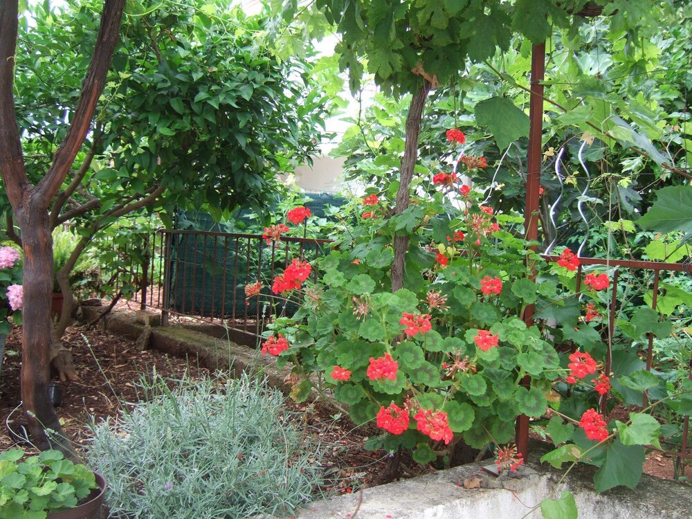 Photo 12