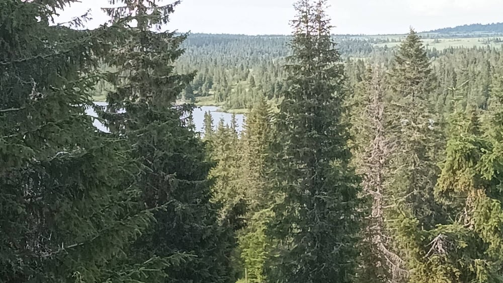 Views, Cross-country Skiing, Sauna, tub