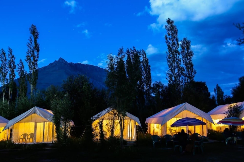 Camp Norling Stars - Koyul