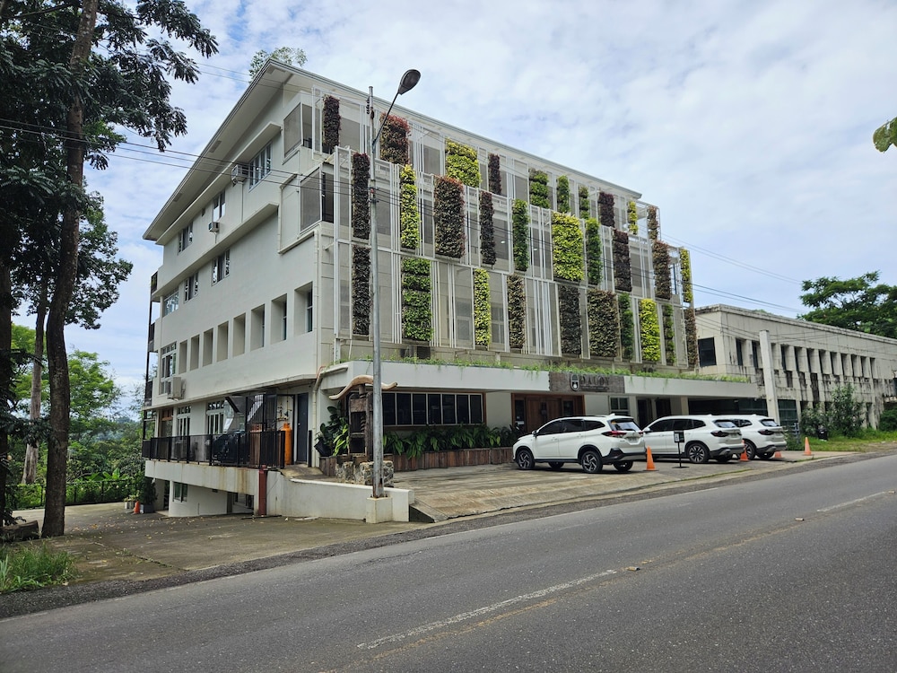 Vine and Canopy