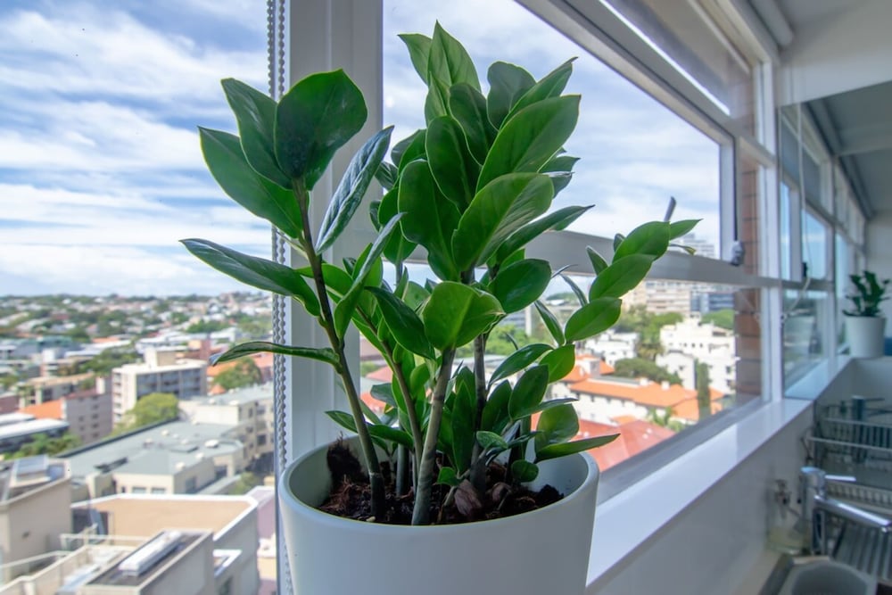 Bright 1 Bedroom Studio With Amazing City Views