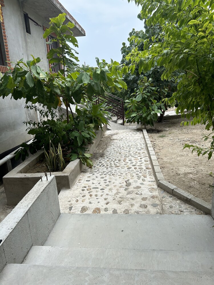 Photo 27