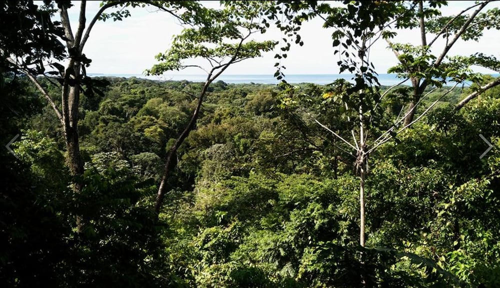 Nature Observatorio Amazing Treehouse