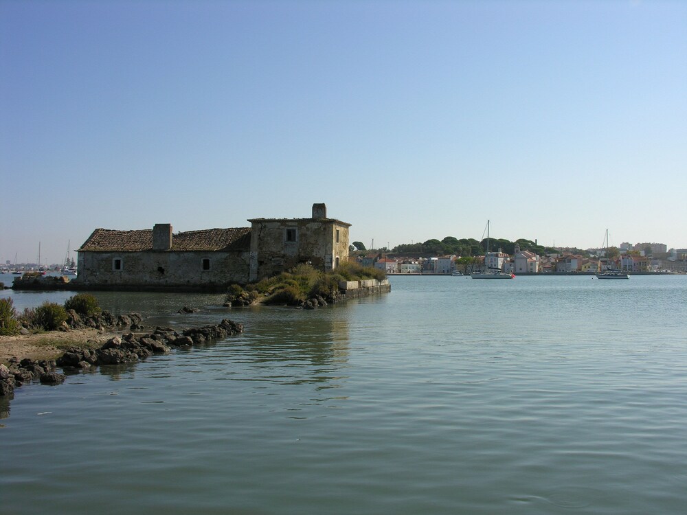 The Boat
