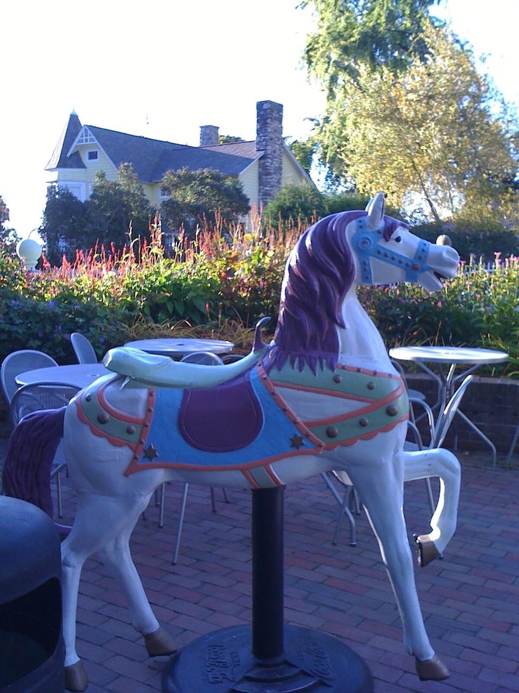 Photo 45