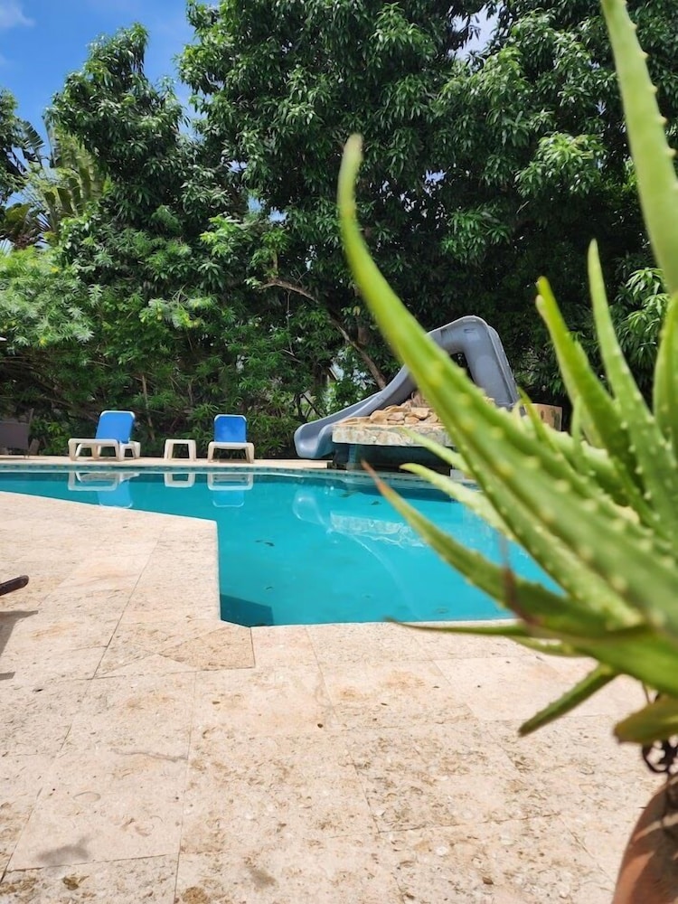 Caribbean Shores Bed & Breakfast