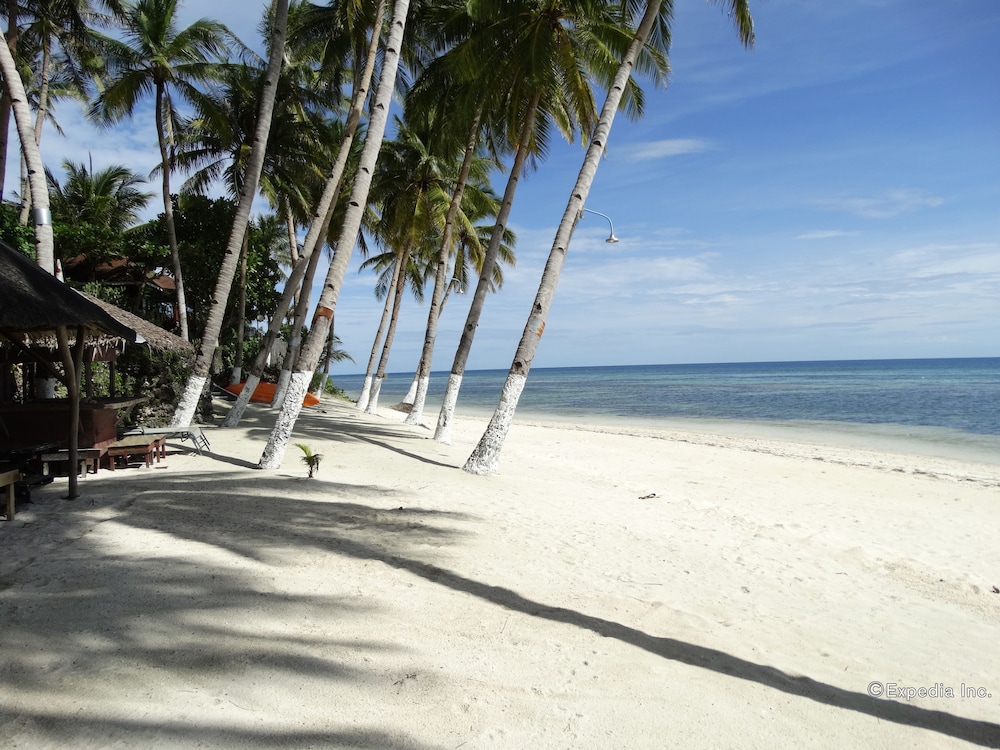 Anda White Beach Resort 61