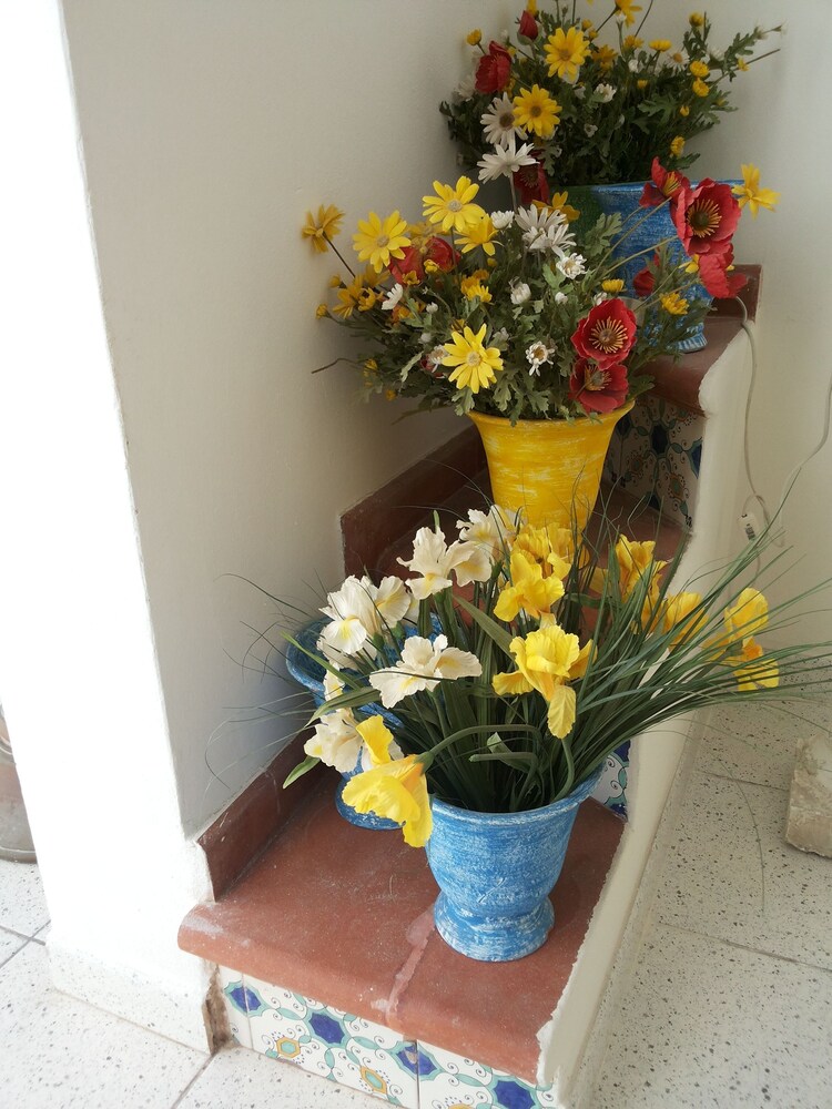 Photo 51