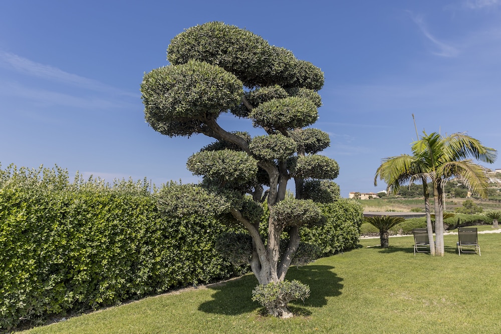 Borgo Giallonardo