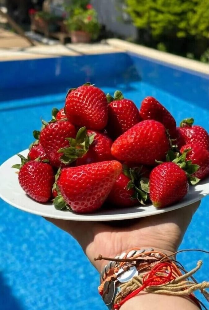 Alaçatı Otel Rebetiko - Image 48