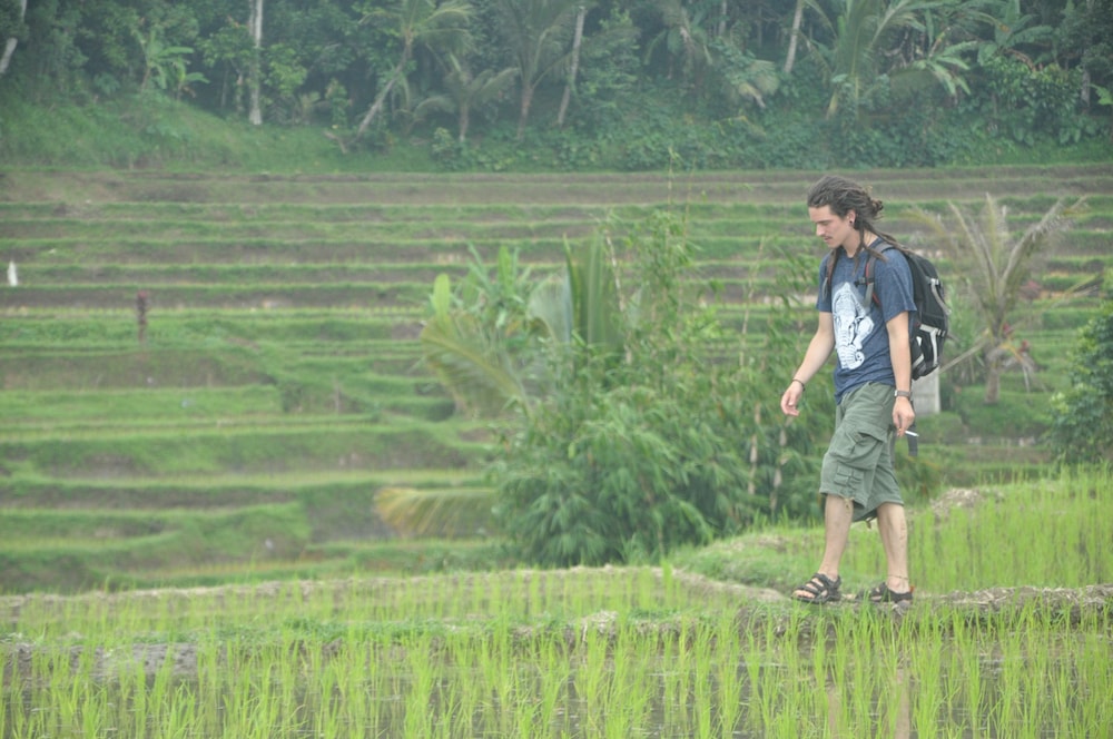 Tepi Sawah Lodge
